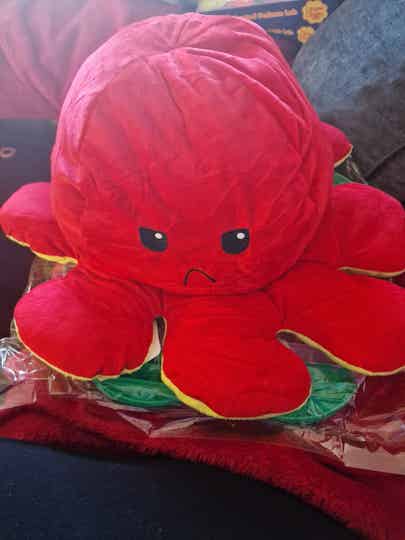 50CM Octopus Reversible - Roystons grotto