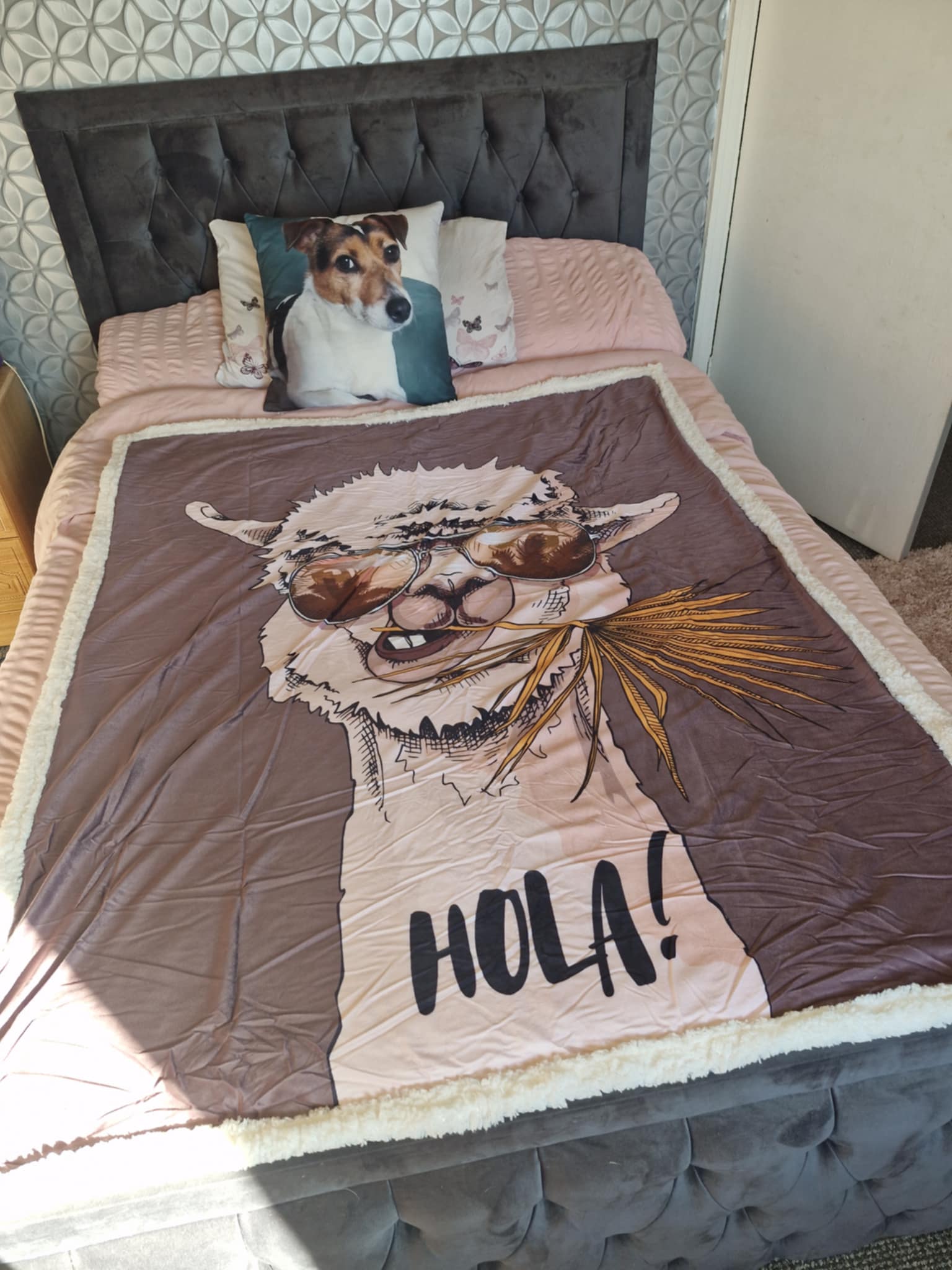 Camel print sherpa blanket (decorative blanket) - Roystons grotto